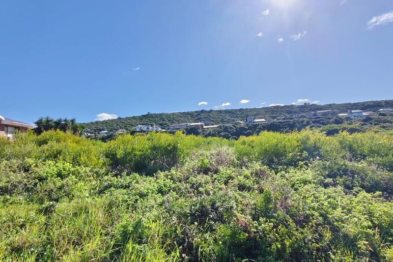 0 Bedroom Property for Sale in Outeniqua Strand Western Cape